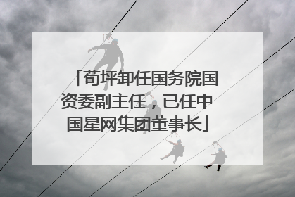 苟坪卸任国务院国资委副主任，已任中国星网集团董事长