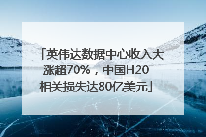 英伟达数据中心收入大涨超70%，中国H20相关损失达80亿美元