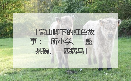 蒙山脚下的红色故事：一所小学、一盏茶碗、一匹病马