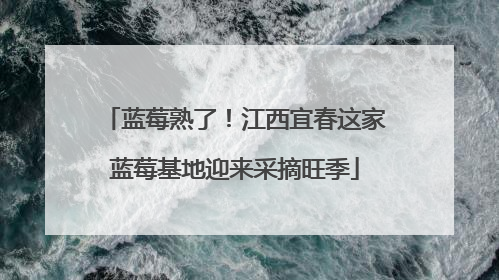 蓝莓熟了！江西宜春这家蓝莓基地迎来采摘旺季