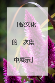 蛇文化的一次集中展示