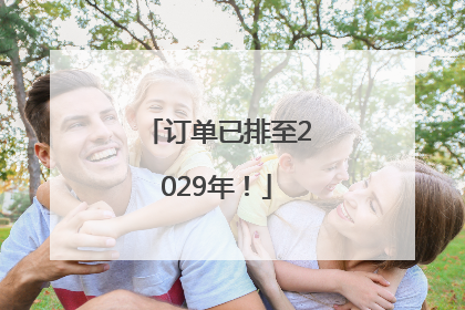 订单已排至2029年！