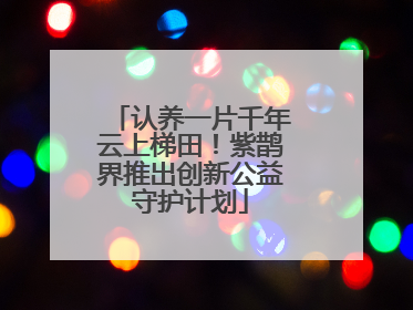 认养一片千年云上梯田！紫鹊界推出创新公益守护计划