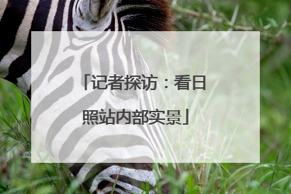 记者探访：看日照站内部实景