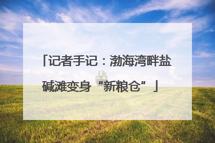 记者手记：渤海湾畔盐碱滩变身“新粮仓”