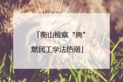 衡山检察“典”燃民工学法热潮