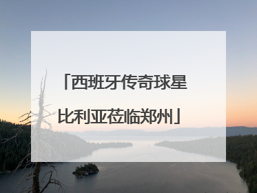西班牙传奇球星 比利亚莅临郑州