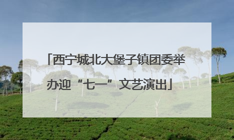 西宁城北大堡子镇团委举办迎“七一”文艺演出