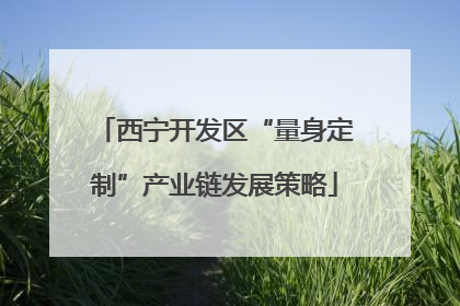 西宁开发区“量身定制”产业链发展策略