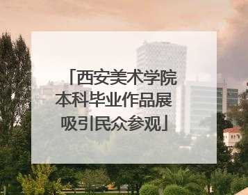 西安美术学院本科毕业作品展吸引民众参观