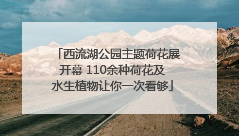 西流湖公园主题荷花展开幕 110余种荷花及水生植物让你一次看够