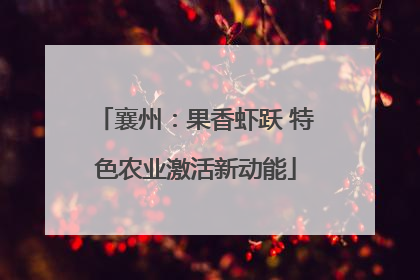 襄州：果香虾跃 特色农业激活新动能
