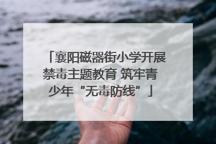 襄阳磁器街小学开展禁毒主题教育 筑牢青少年“无毒防线”