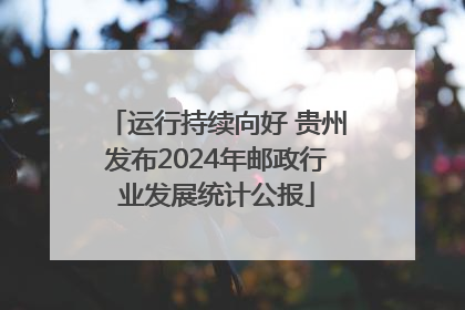 运行持续向好 贵州发布2024年邮政行业发展统计公报