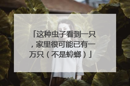 这种虫子看到一只，家里很可能已有一万只（不是蟑螂）