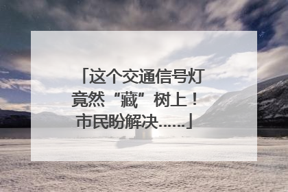 这个交通信号灯竟然“藏”树上！市民盼解决……