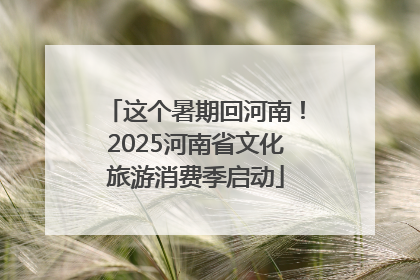 这个暑期回河南！2025河南省文化旅游消费季启动