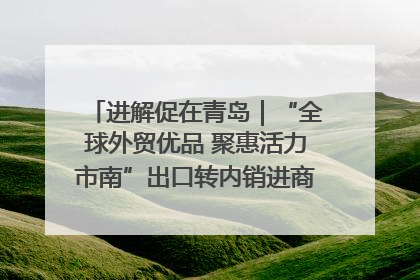 进解促在青岛｜“全球外贸优品 聚惠活力市南”出口转内销进商超专场活动启动