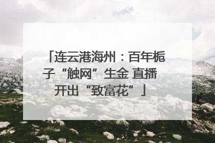 连云港海州：百年栀子“触网”生金 直播开出“致富花”