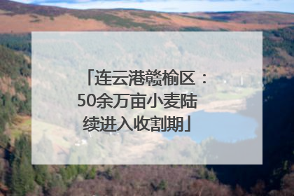 连云港赣榆区：50余万亩小麦陆续进入收割期