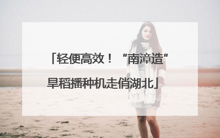 轻便高效！“南漳造”旱稻播种机走俏湖北