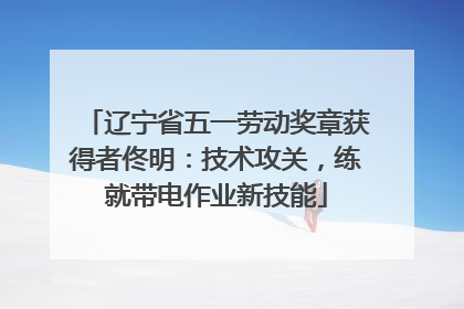 辽宁省五一劳动奖章获得者佟明：技术攻关，练就带电作业新技能