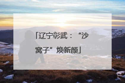 辽宁彰武：“沙窝子”焕新颜