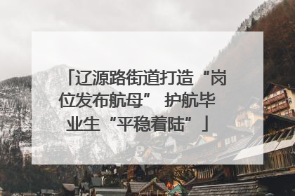 辽源路街道打造“岗位发布航母” 护航毕业生“平稳着陆”