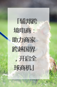 辅邦跨境电商：助力商家跨越国界，开启全球商机