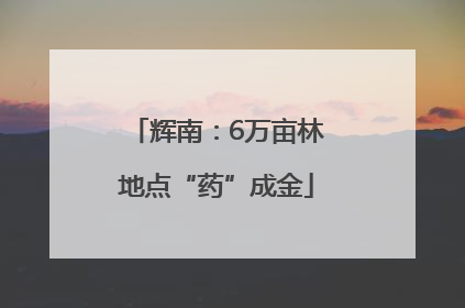 辉南：6万亩林地点“药”成金