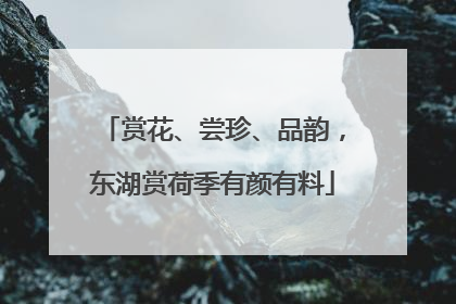 赏花、尝珍、品韵，东湖赏荷季有颜有料