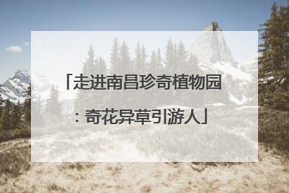 走进南昌珍奇植物园：奇花异草引游人