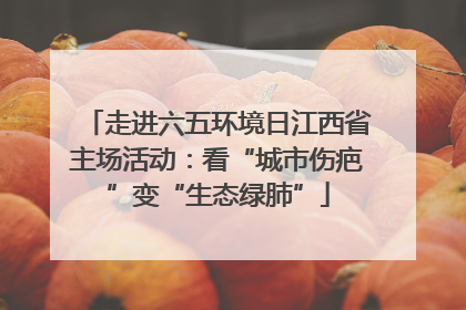走进六五环境日江西省主场活动：看“城市伤疤”变“生态绿肺”