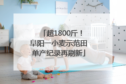 超1800斤！阜阳一小麦示范田单产纪录再刷新