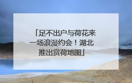 足不出户与荷花来一场浪漫约会！湖北推出赏荷地图