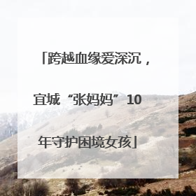 跨越血缘爱深沉，宜城“张妈妈”10年守护困境女孩