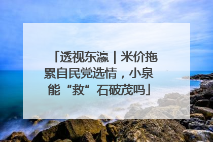 透视东瀛｜米价拖累自民党选情，小泉能“救”石破茂吗