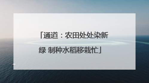 通道：农田处处染新绿 制种水稻移栽忙