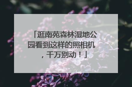 逛南苑森林湿地公园看到这样的照相机，千万别动！