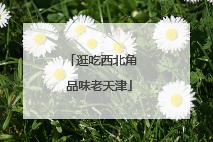 逛吃西北角 品味老天津