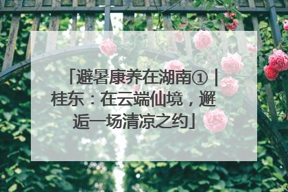 避暑康养在湖南①｜桂东：在云端仙境，邂逅一场清凉之约