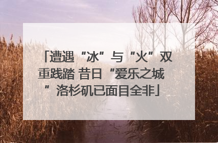 遭遇“冰”与“火”双重践踏 昔日“爱乐之城”洛杉矶已面目全非