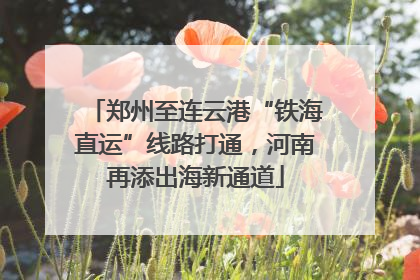 郑州至连云港“铁海直运”线路打通，河南再添出海新通道