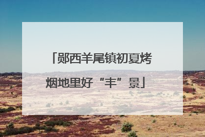 郧西羊尾镇初夏烤烟地里好“丰”景