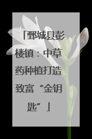 鄄城县彭楼镇：中草药种植打造致富“金钥匙”
