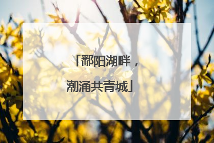 鄱阳湖畔，潮涌共青城