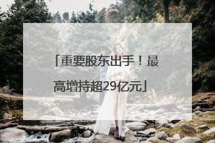 重要股东出手！最高增持超29亿元