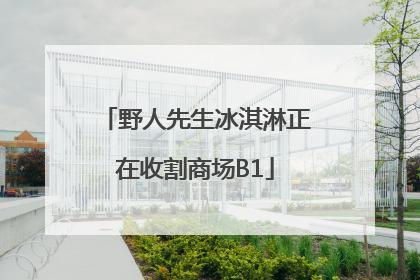 野人先生冰淇淋正在收割商场B1