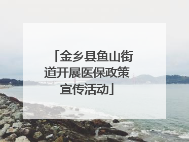 金乡县鱼山街道开展医保政策宣传活动