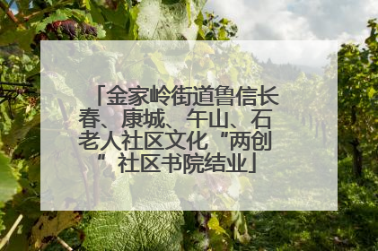 金家岭街道鲁信长春、康城、午山、石老人社区文化“两创”社区书院结业